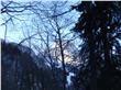 photo_1